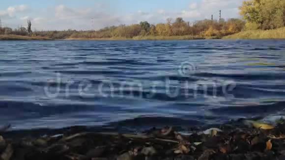 秋天的河畔时光流逝视频的预览图
