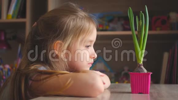 漂亮的年轻女孩看着盆栽表情周到人园艺花卉种植理念视频的预览图