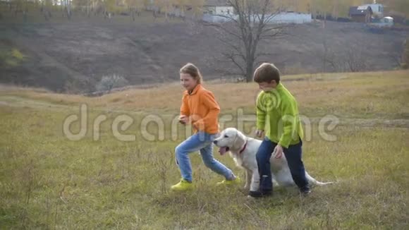 两个带着金毛猎犬跑在田里视频的预览图