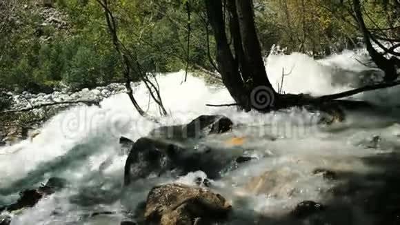 蜿蜒的山河沿着森林流淌视频的预览图