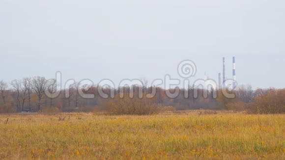 秋日草地背景下远处的烟雾视频的预览图