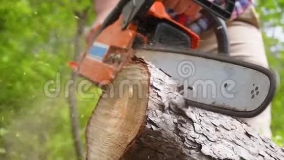 慢动作用电锯切割木材视频的预览图