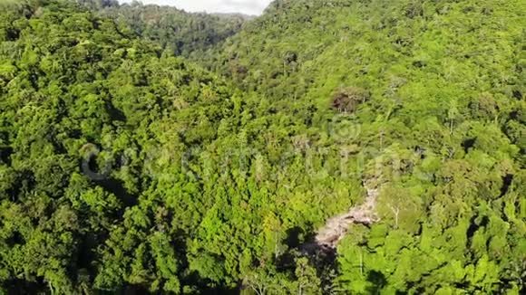 山上的绿色丛林生长在苏梅岛丘陵地带的热带树木在群山之间的瀑布视频的预览图