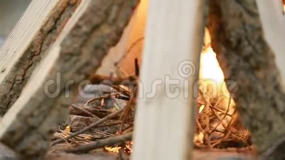 在森林里生火视频的预览图