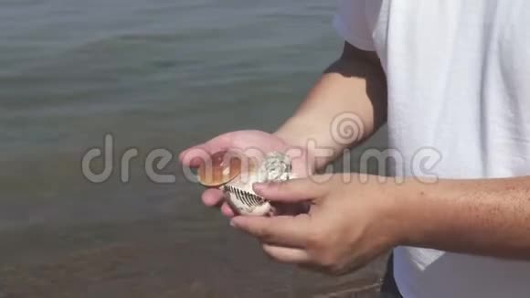 人类在海边手拿贝壳视频的预览图