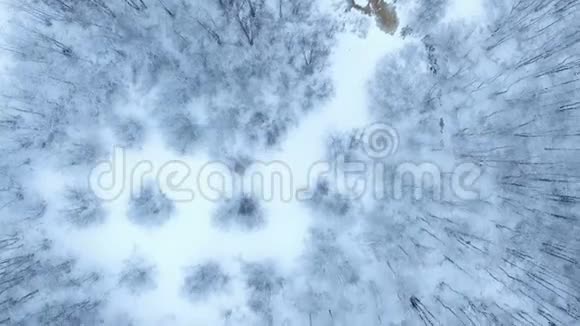 从上面俯瞰覆盖着白雪的森林的冬季背景视频的预览图