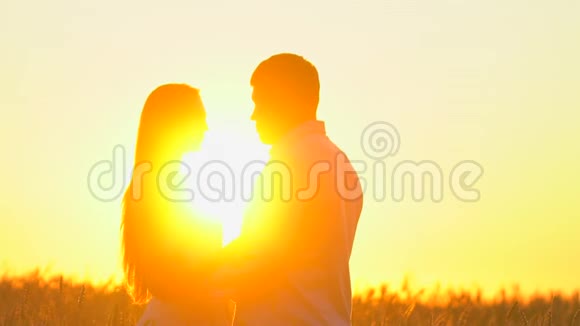 浪漫的年轻幸福夫妇在夕阳下金色麦田的剪影女人和男人拥抱亲吻视频的预览图
