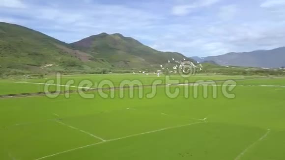 空中射击鸟群飞过稻田上的山景亚洲村庄的水稻种植农业和视频的预览图