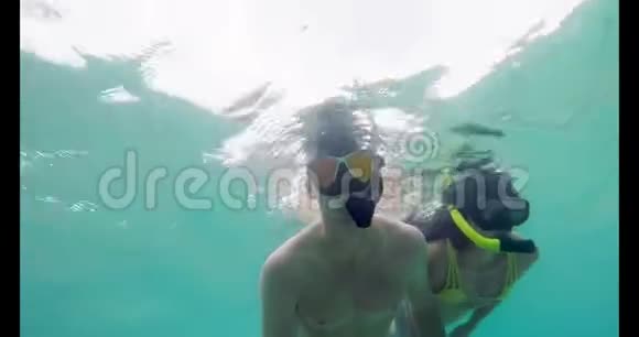 在绿松石海4k水下潜水视频的预览图