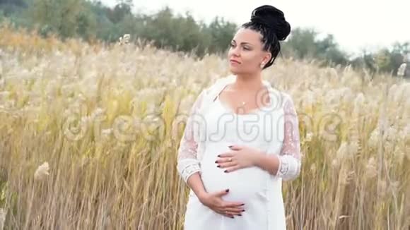 怀孕的年轻女子摸着肚子站在蓬松的潘帕斯草地上的肖像秋天穿长蕾丝裙子的女孩视频的预览图