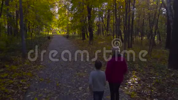 母亲和儿子在秋天的公园小路上手牵手上面长满了黄叶视频的预览图