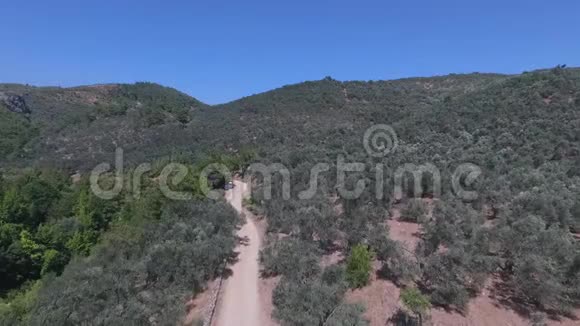 伊达山土耳其的卡兹达格拉里橄榄树枝和树叶在风中摇摆视频的预览图