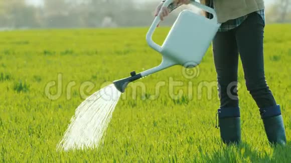 用洒水器浇灌青草的人视频的预览图
