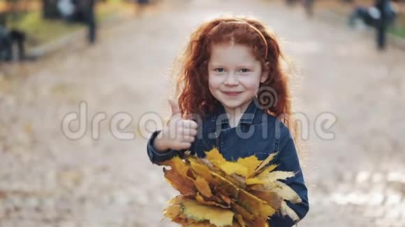 可爱的小红发女儿站在秋天的公园里看着镜头她拿着黄色的叶子视频的预览图