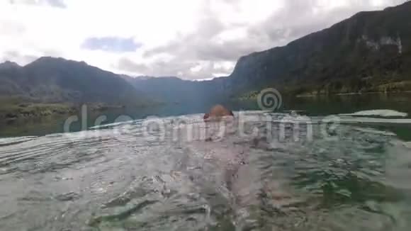 斯洛文尼亚一个人在山湖里游泳视频的预览图