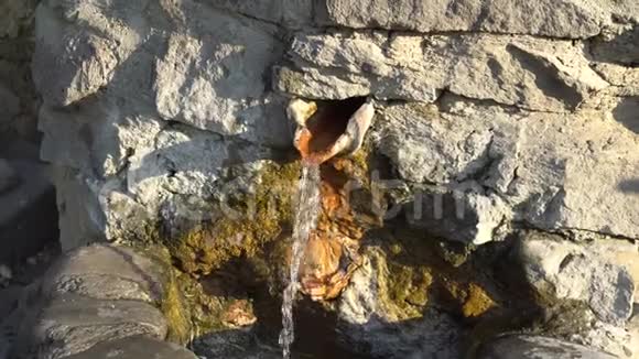近距离观看喷泉水从墙上的一个洞里流出来上面覆盖着藻类视频的预览图