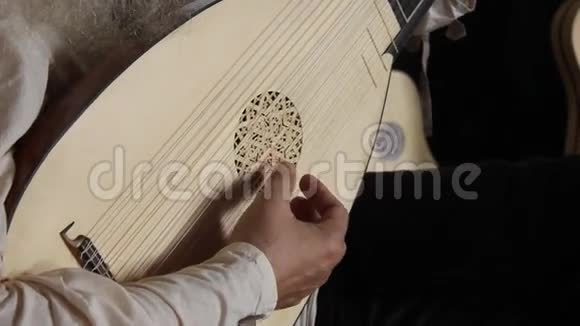 中世纪吉他手视频的预览图