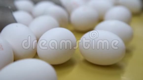 鸡蛋沿着传送带移动别激动慢动作视频的预览图
