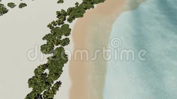 岛屿海滩棕榈和海洋大西洋和天空美丽的白色野生海滩视频的预览图