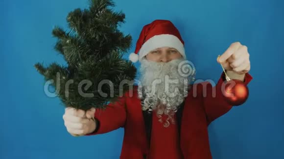 新年男人就像圣诞老人带着圣诞树和蓝色背景的红色圆球玩具视频的预览图