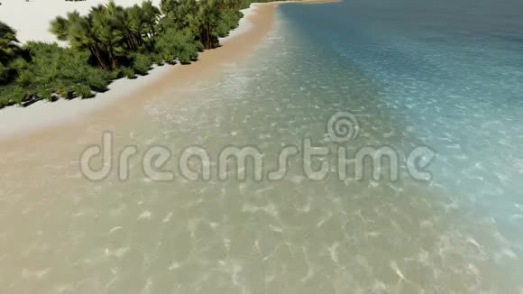 岛屿海滩棕榈和海洋大西洋和天空美丽的白色野生海滩视频的预览图