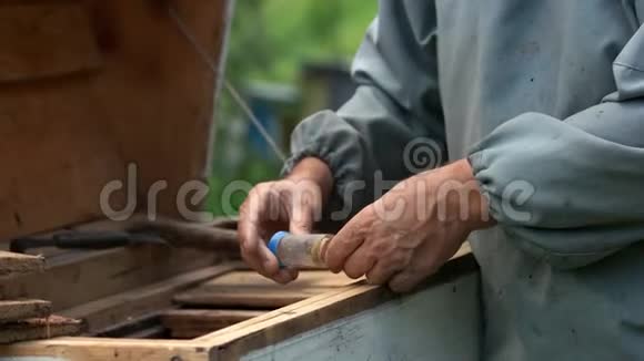 养蜂人在养蜂场和蜜蜂一起工作视频的预览图