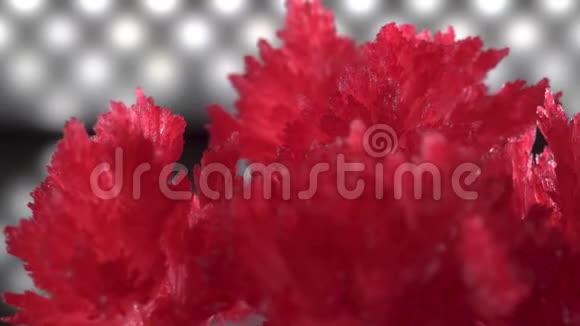 在二极管照明背景上美丽的红色晶体晶体慢慢地旋转和闪耀实验实验视频的预览图