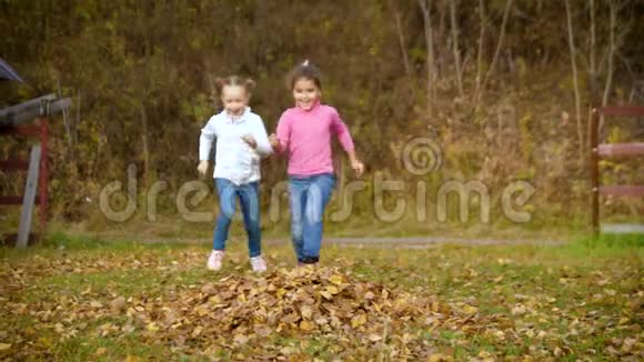 两个女孩从跑步开始跳到一堆秋叶里孩子们在秋天的花园里玩耍落叶户外乐趣视频的预览图