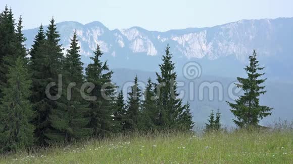 夏日的山景视频的预览图