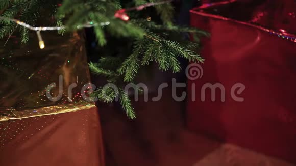 圣诞树下的礼物视频的预览图