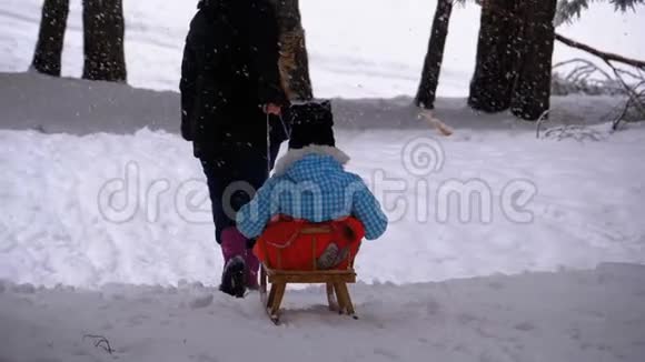 在下雪的时候妈妈把一个小女孩卷在松林里的木制雪橇上慢动作视频的预览图