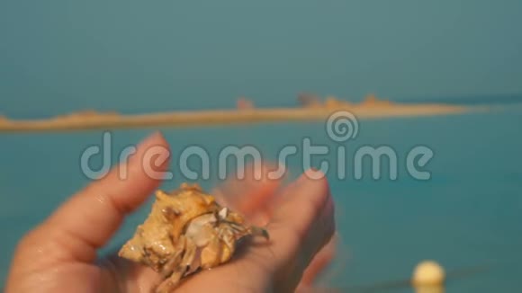 把螃蟹藏在手心里视频的预览图