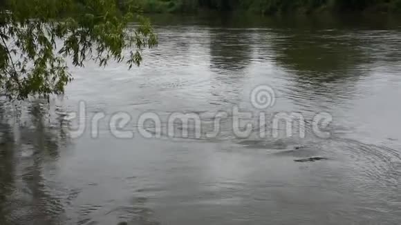 泰国MaeKhlong或Meklong河水的流动和流动视频的预览图