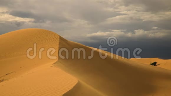 沙漠里的大风沙丘上的沙吹视频的预览图