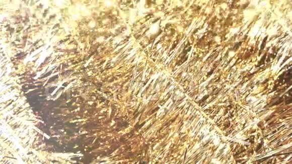 闪闪发光的金罐节日的微光视频的预览图