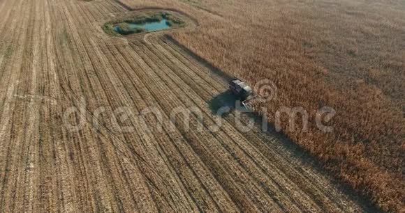 联合收割机移除麦田收获小麦成熟了视频的预览图