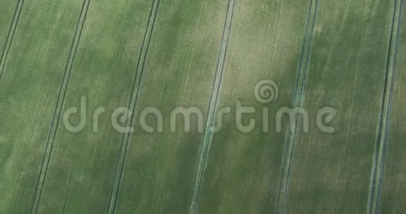 在室外的绿色农场上空飞行的空中景色视频的预览图