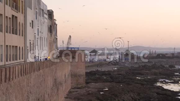埃萨乌伊拉海滩边景日落黄昏背景在摩洛哥飞翔的海鸥视频的预览图