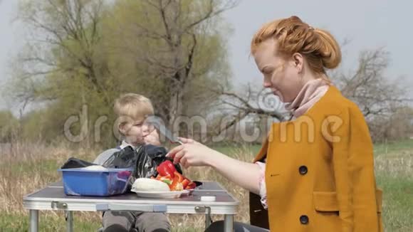 年轻的母亲在野餐时在餐桌上切蔬菜小儿子视频的预览图