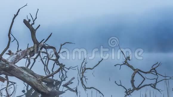 清晨的雾霭笼罩着立陶宛宁静的湖泊视频的预览图