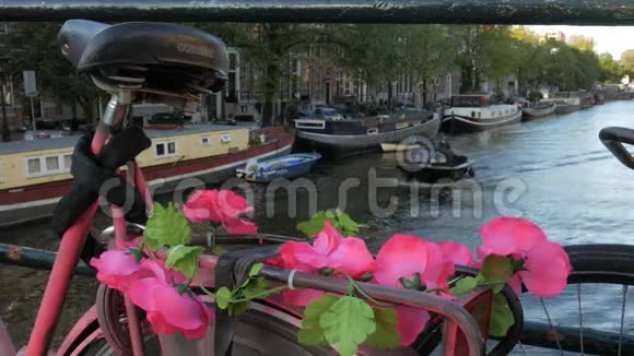 阿姆斯特丹自行车上的粉红色花视频的预览图