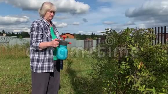 女园丁用装有杀虫剂的喷雾瓶喷洒果树和灌木防治植物病虫害视频的预览图