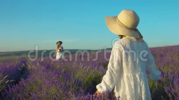 穿着裙子的女孩在一片开花薰衣草的田野里去找妈妈视频的预览图