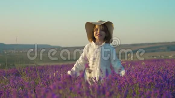 快乐的小女孩戴着草帽在一片薰衣草盛开的田野里嬉戏视频的预览图