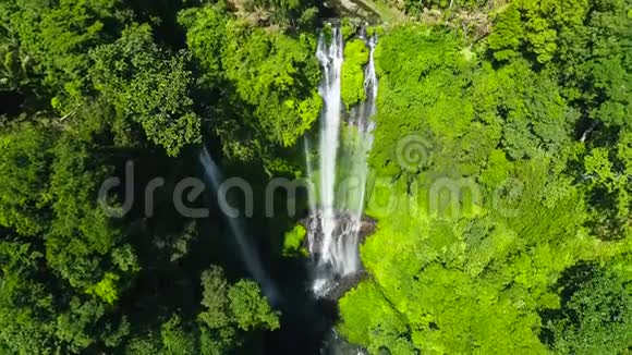 印度尼西亚巴厘岛热带海丘瀑布异国的瀑布和美丽的彩虹视频的预览图