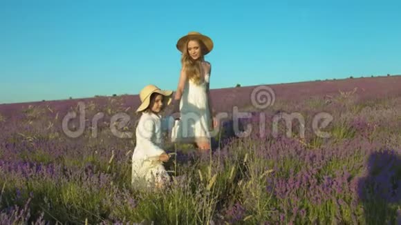 年轻的母亲和她的女儿走过一片盛开的薰衣草花田视频的预览图