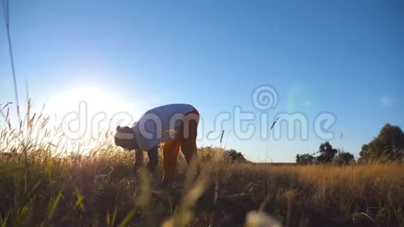 在阳光明媚的日子里年轻人在球场上练习瑜伽运动的家伙在草地上做运动夏季景观视频的预览图