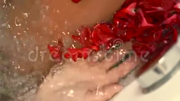 浪漫浴室水中的玫瑰花瓣带玫瑰花瓣的按摩浴缸的女人爱情和浪漫的蜜月视频的预览图