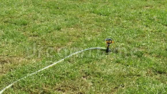 园灌喷灌浇水草坪视频的预览图