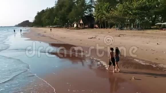 孩子们在户外的水里玩得很开心快乐的孩子们快乐的小男孩和小女孩沿着海滨奔跑视频的预览图